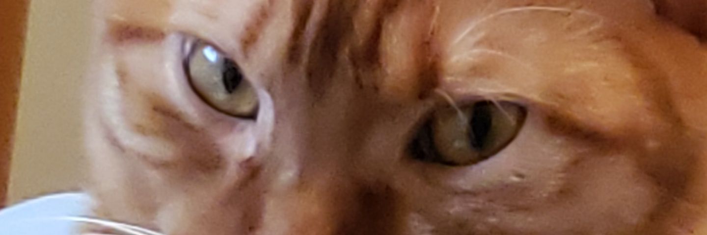 TylerGnas's profile banner image