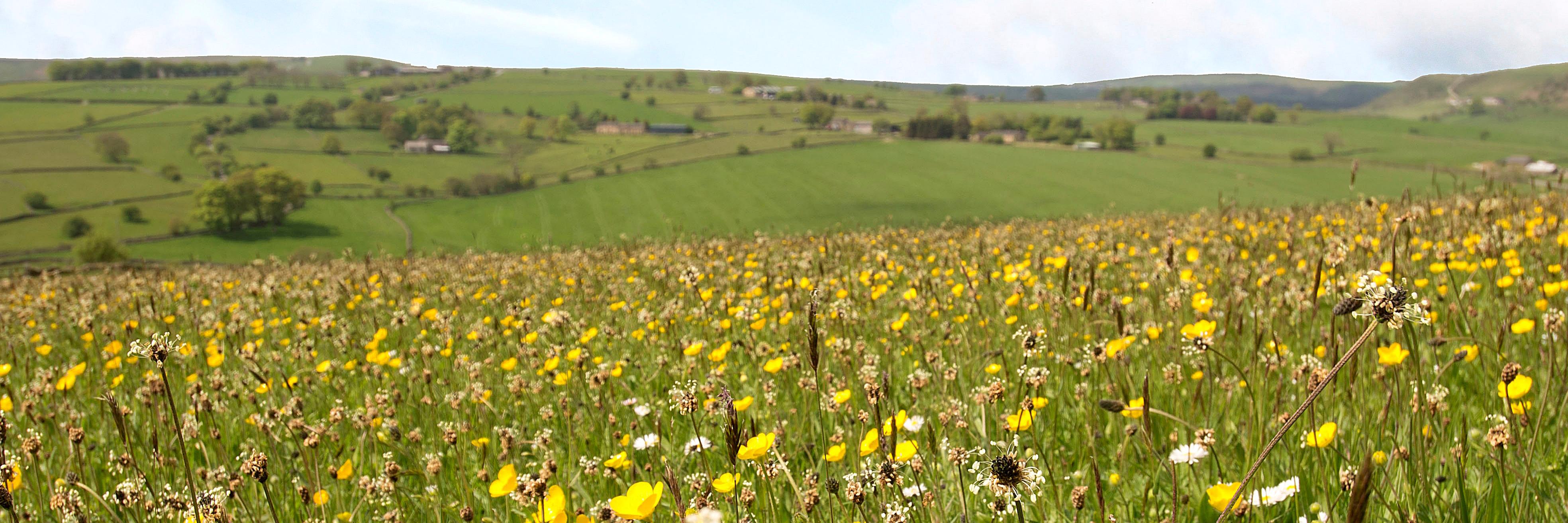 LongnorWood's profile banner image