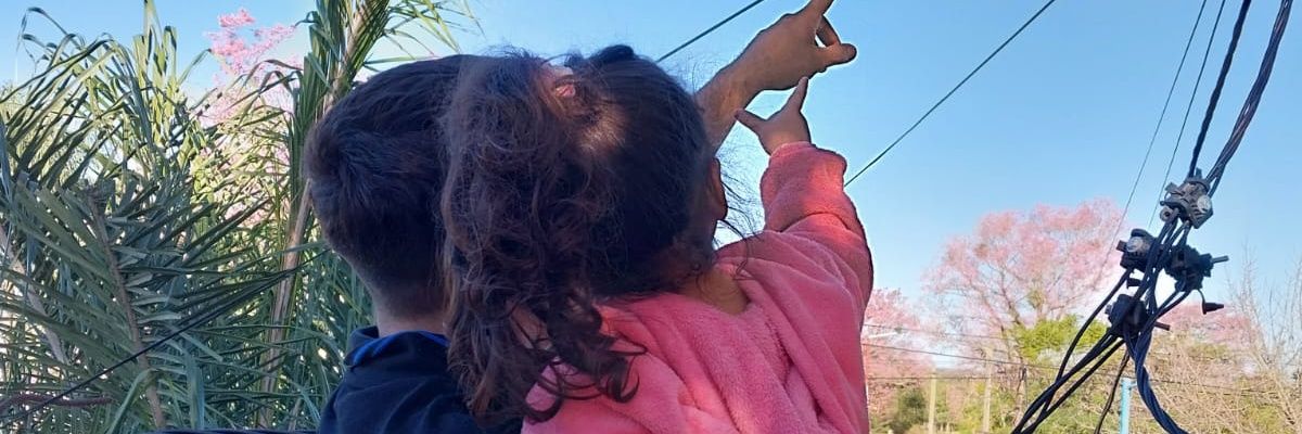 sebas_vallejos's profile banner image