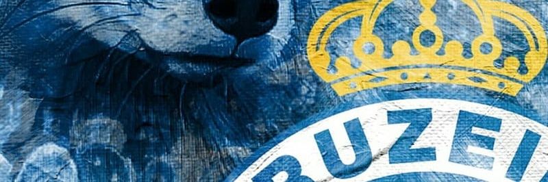 Matheus 10/45 🦊💙🇮🇹 banner