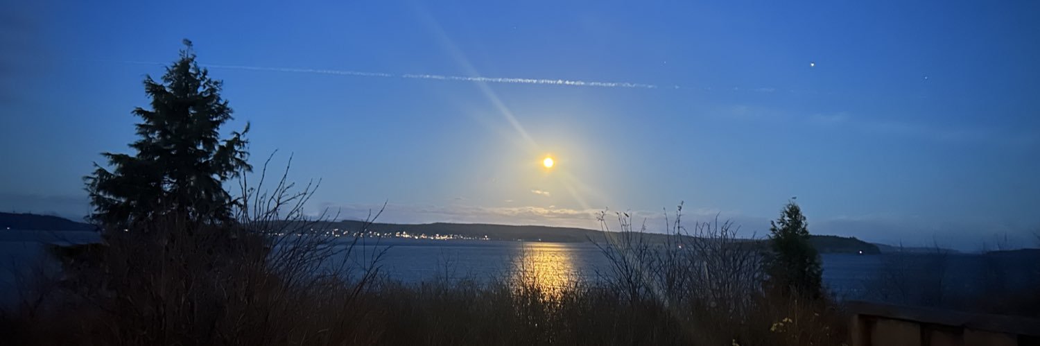 Vivian Krause banner