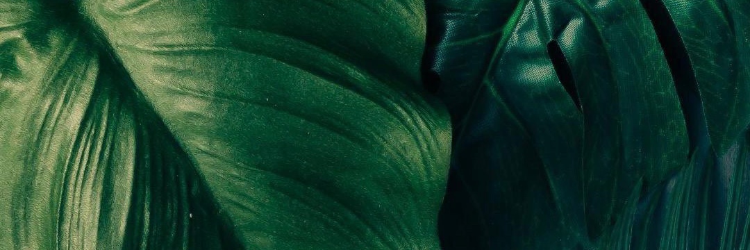 EJKelly_5's profile banner image