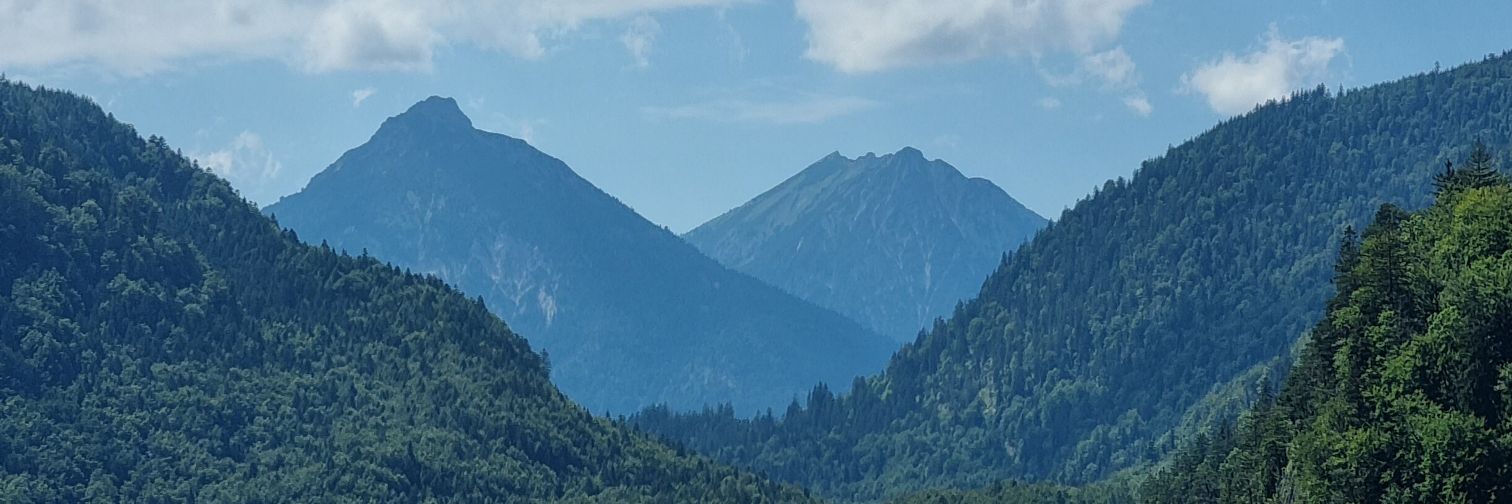 Nikita banner