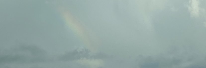 martagimenoo2's profile banner image
