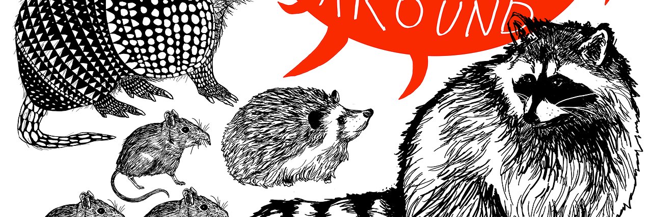 teddy🐀 banner