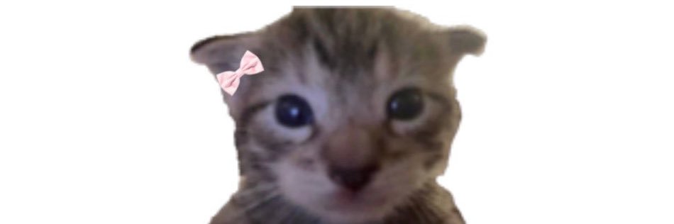 edacloud9's profile banner image