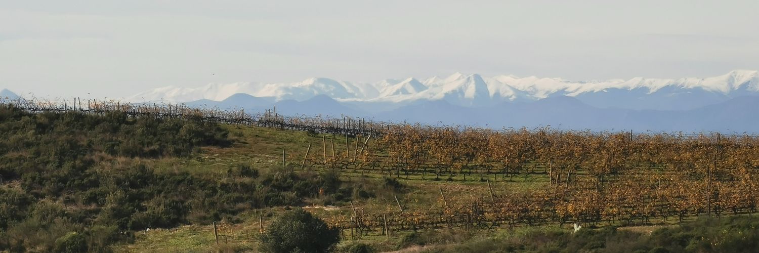 anna espelt delclós banner