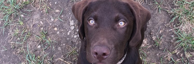 Emelia_G's profile banner image