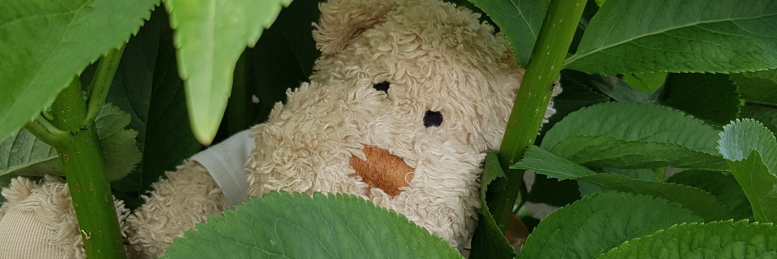 SlappyBear's profile banner image