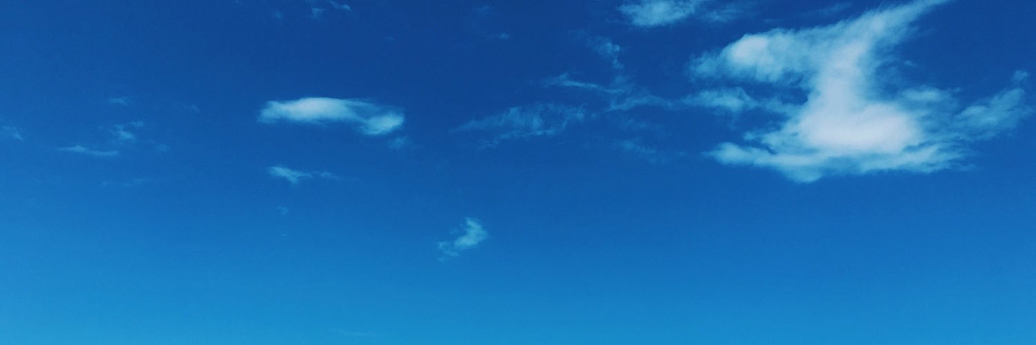 rikkisi's profile banner image