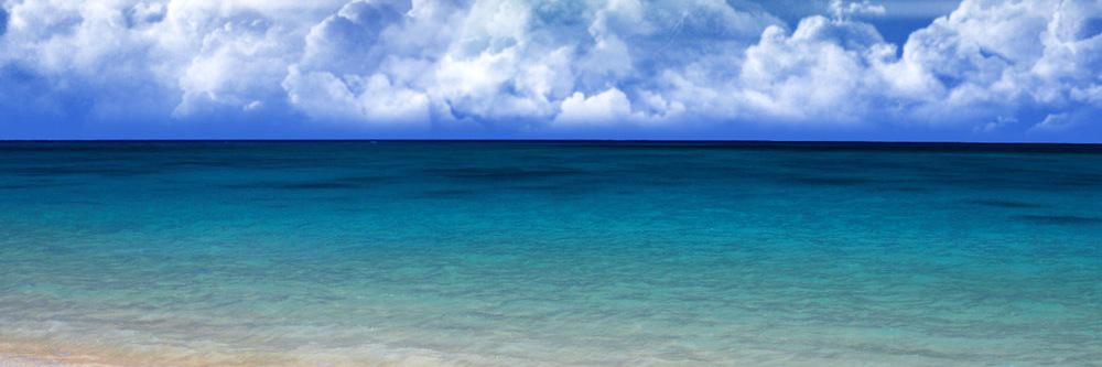 anyone_want_chips's banner