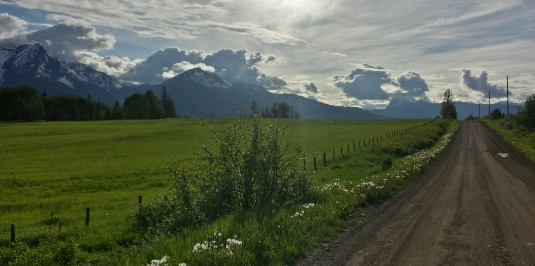 tictaektoe's profile banner image
