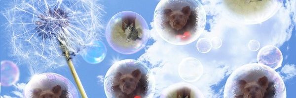 jyy14's profile banner image