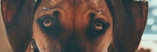 jdurfee2001's profile banner image