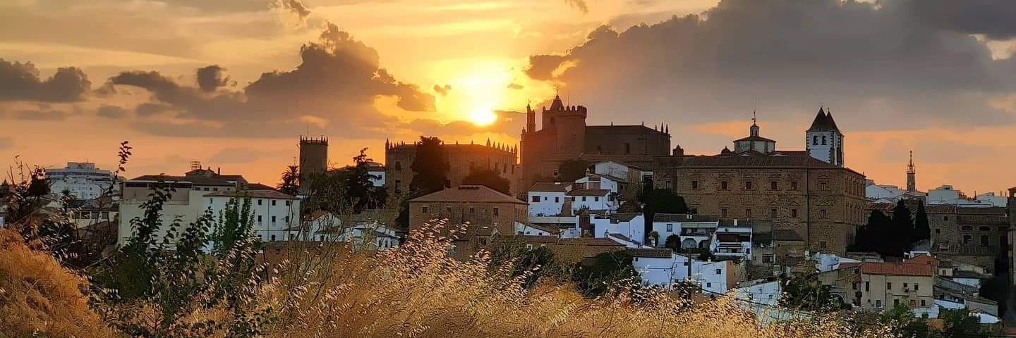 Javier Flores banner