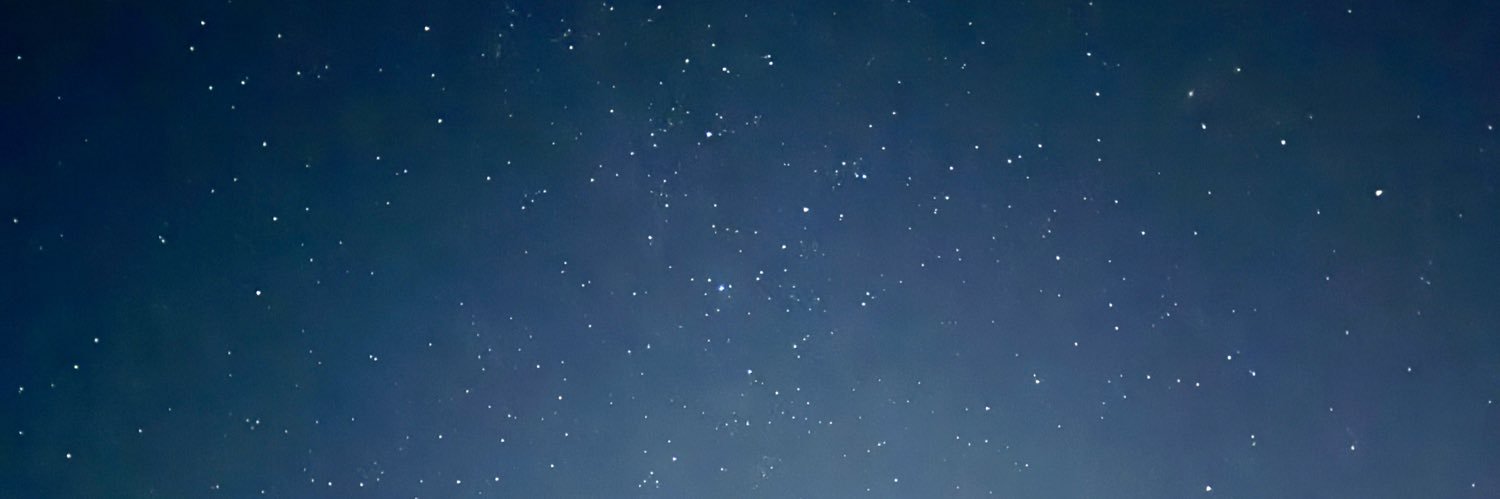 electra_vier's profile banner image