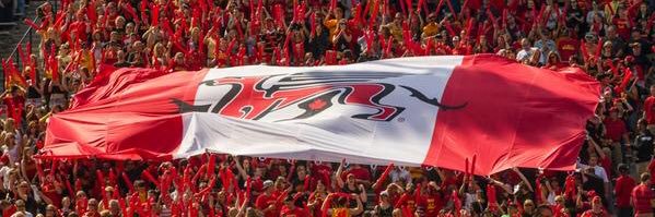 Gryphons_POP's profile banner image