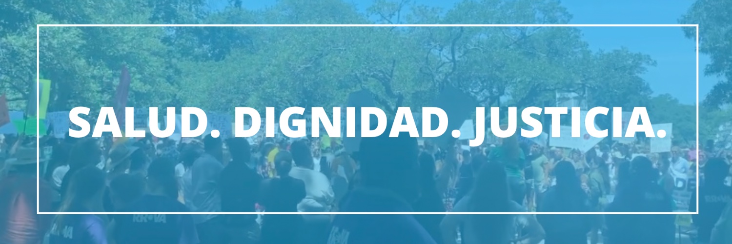 The Latina Institute VA banner