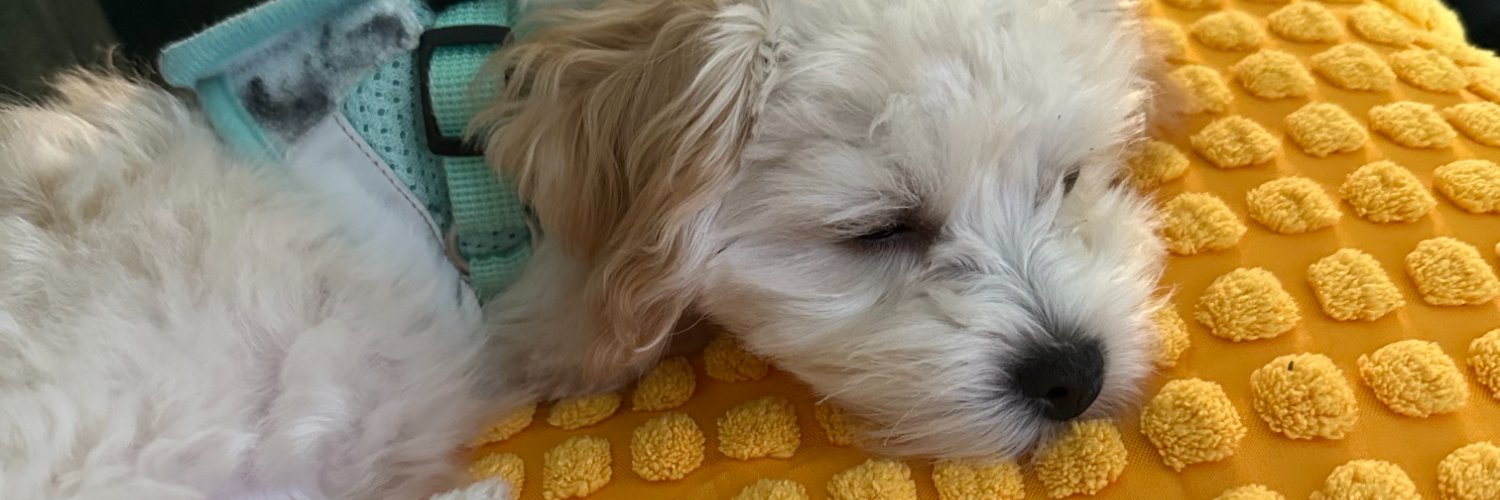 Schnablette's profile banner image