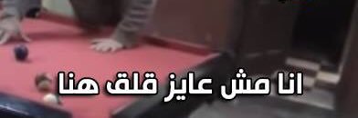 s3edy_but's profile banner image