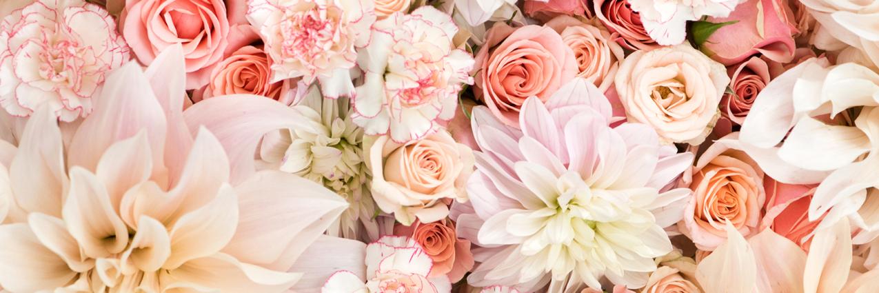Meg_Jrdn's profile banner image