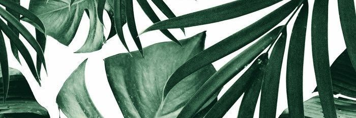 AlejaPS827's profile banner image