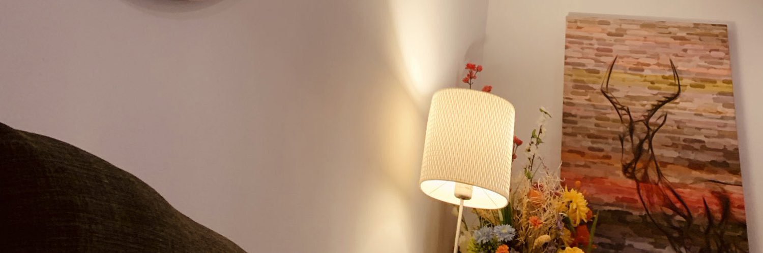 SpiderApple｜公式場's banner