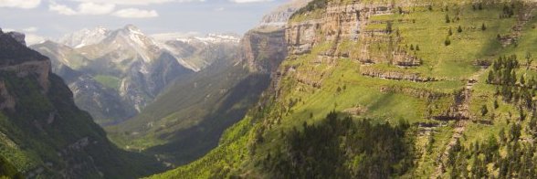 Pablo Gonzalez banner