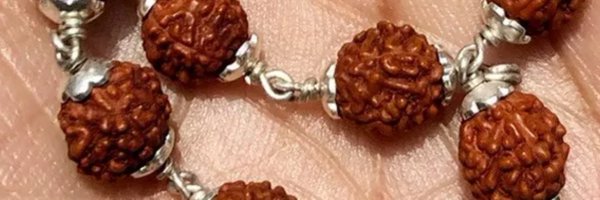 shinysap Profile Banner