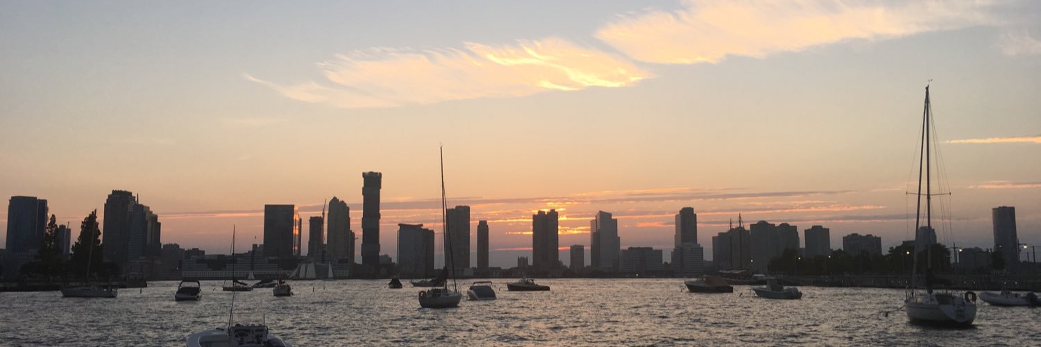 LeslieBRL's profile banner image
