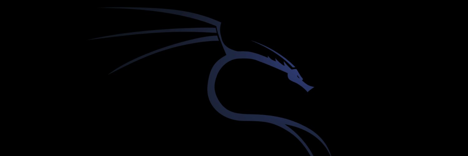 radlovacki's profile banner image
