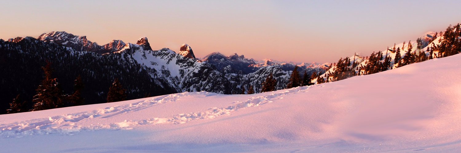 Kenndal McArdle banner