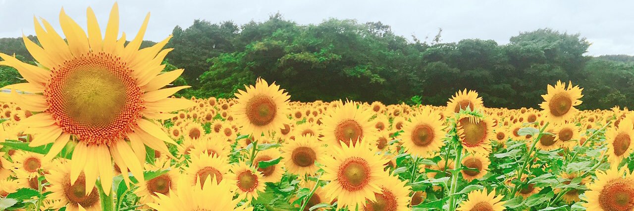 oomachihousing's profile banner image