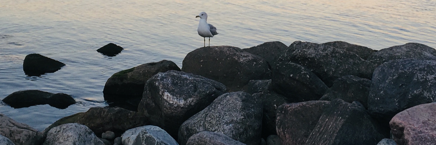 yerobles's profile banner image
