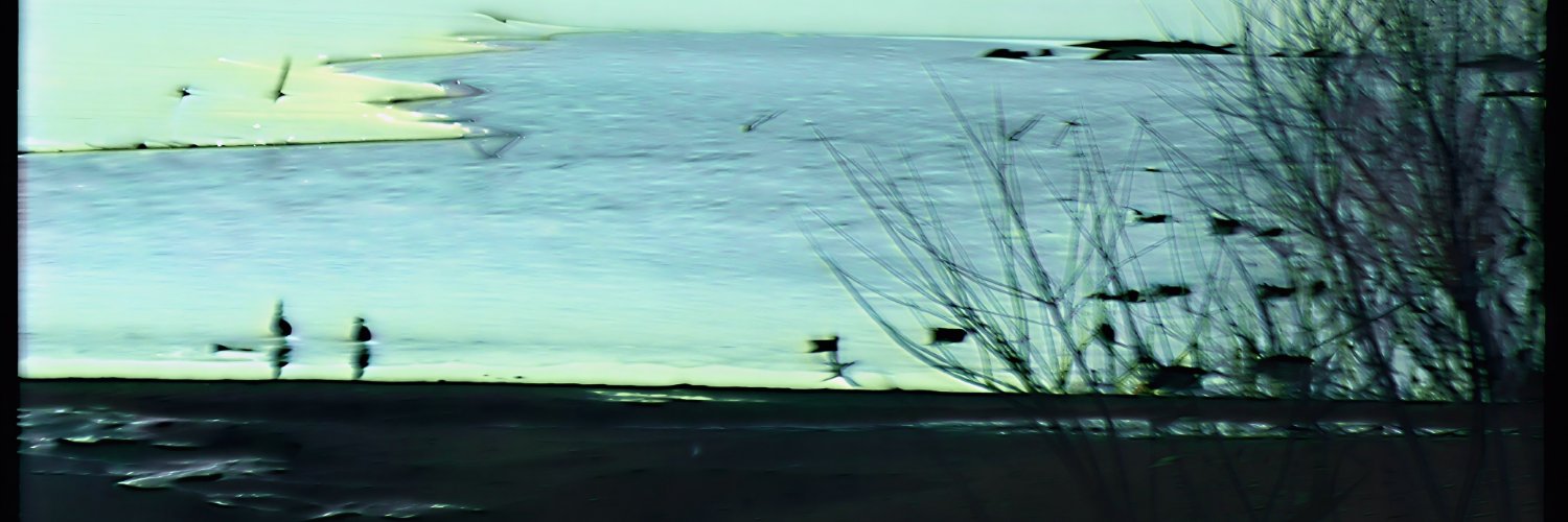 Persona non grata banner