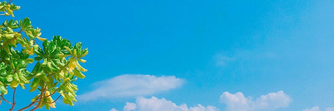 Yes_Shop307's profile banner image