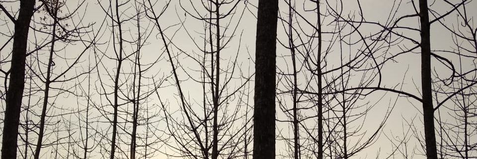 bh_celine's profile banner image