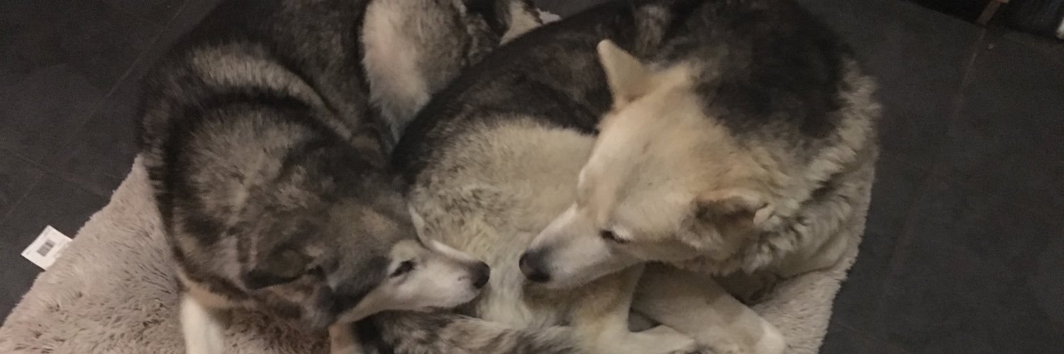 zorrocub's profile banner image
