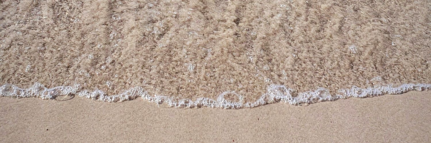 Miss Verstanden banner