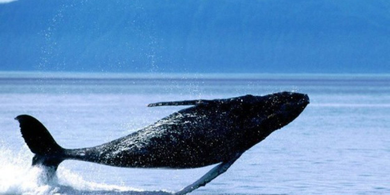 もりー@4/30(木)鶴見スタンディング banner