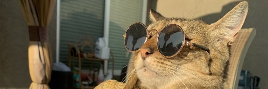 Kamweezy_'s profile banner image