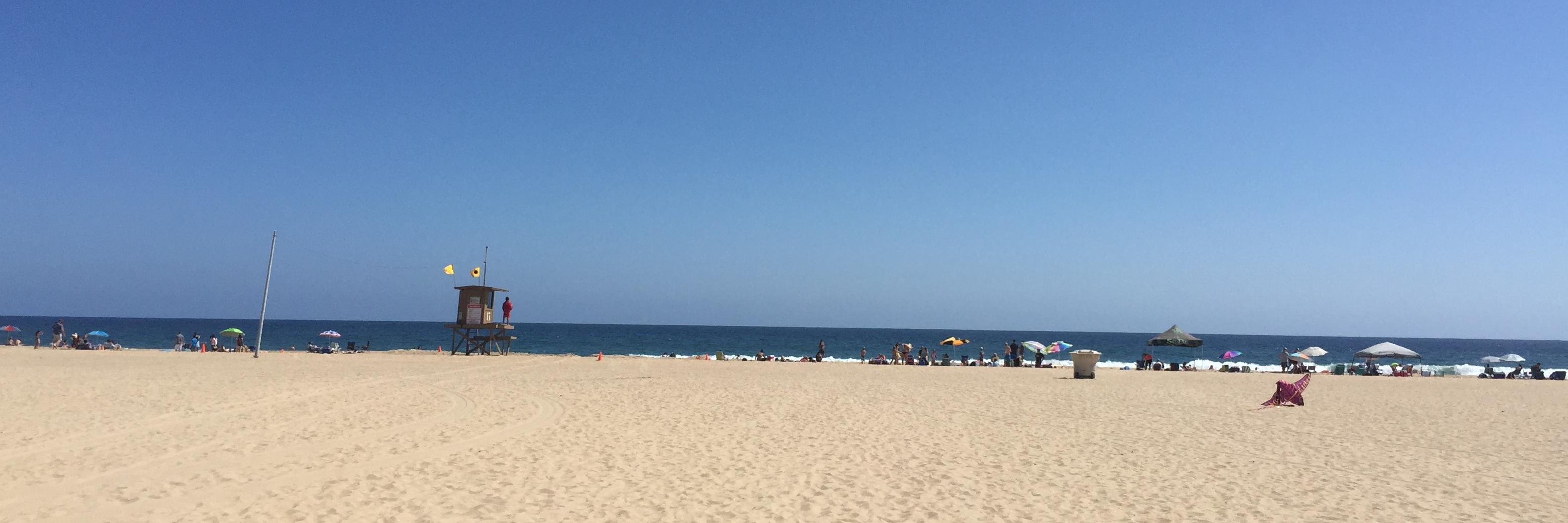 MrPaco116's profile banner image