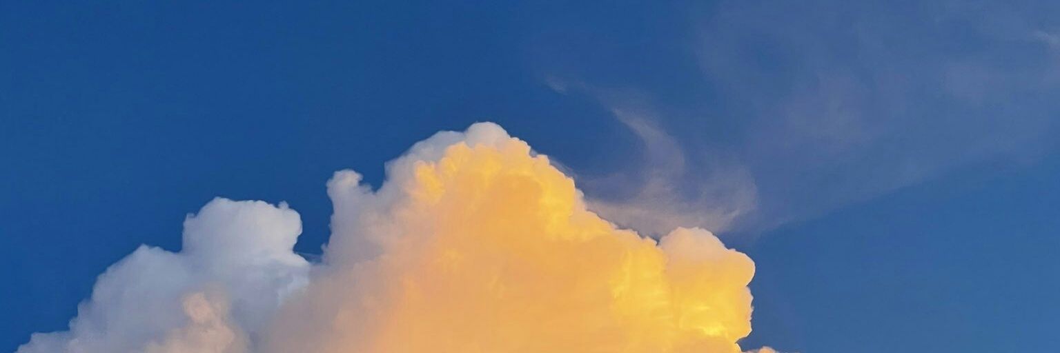 febapraug's profile banner image
