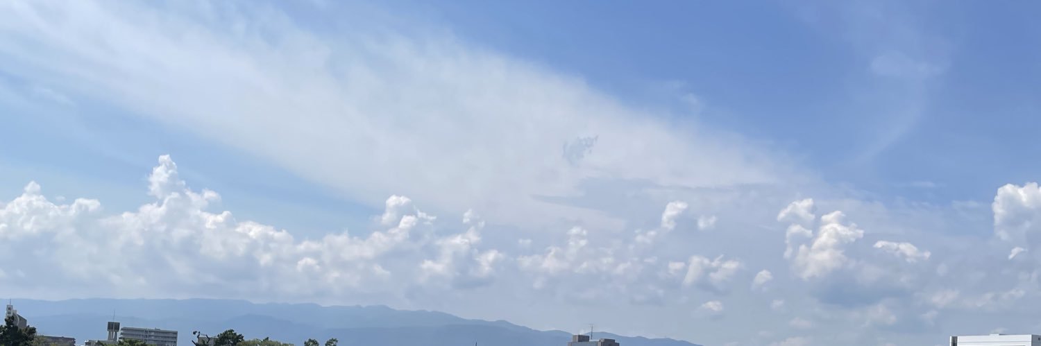 Pikateu_P's profile banner image