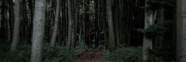 aghdom Profile Banner