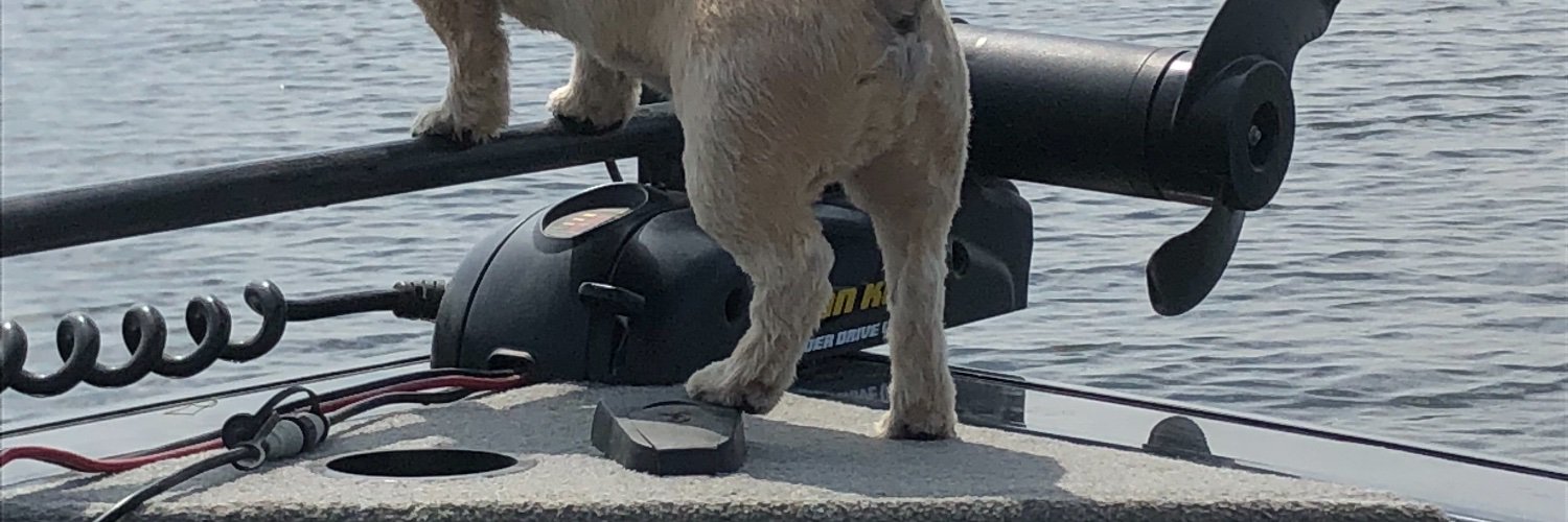 Nina Peterson banner