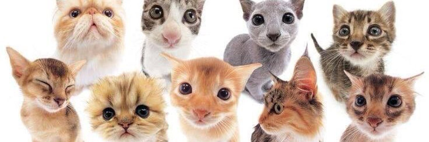 _apocalypsepls's profile banner image