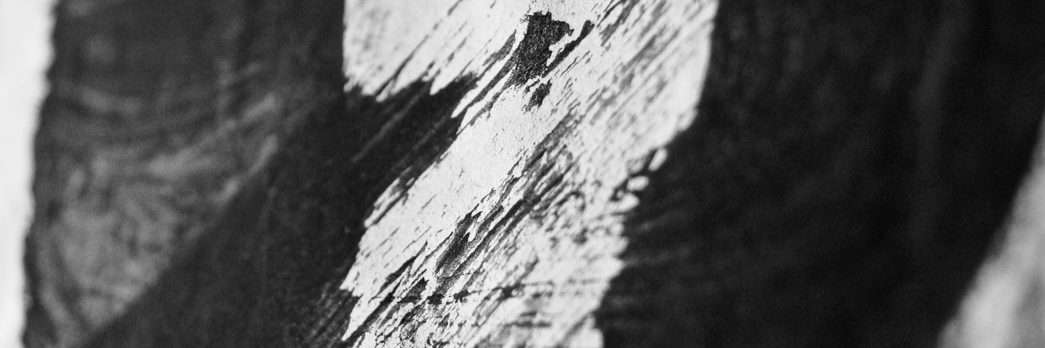 tsujikaze's profile banner image