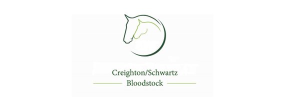 CSBSAgent Profile Banner