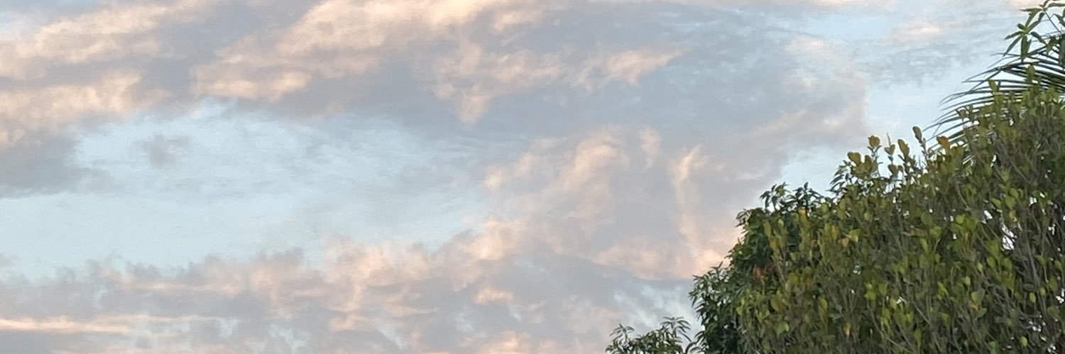 NFTell's profile banner image